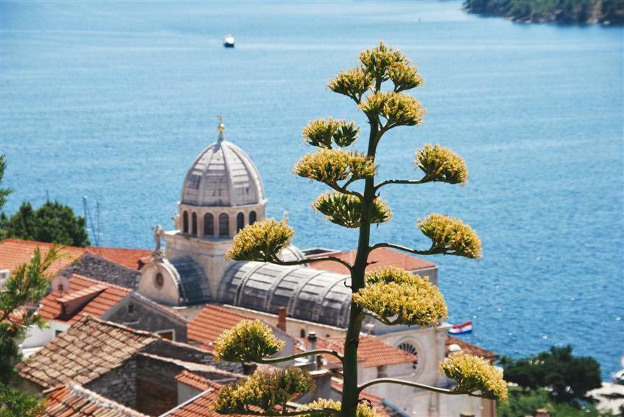 Apartman Sara Lägenhet Šibenik Exteriör bild