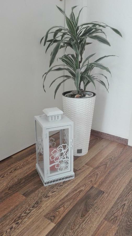 Apartman Sara Lägenhet Šibenik Exteriör bild