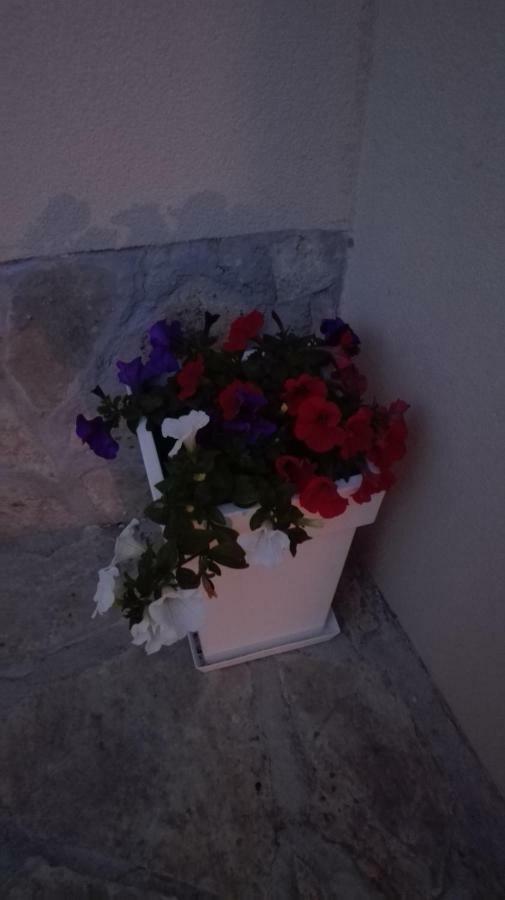 Apartman Sara Lägenhet Šibenik Exteriör bild